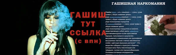 PSILOCYBIN Козельск