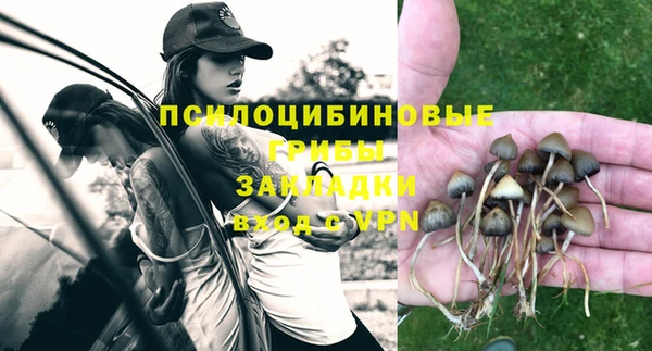 PSILOCYBIN Козельск