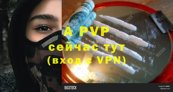 PSILOCYBIN Козельск