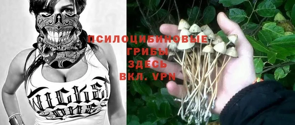 PSILOCYBIN Козельск