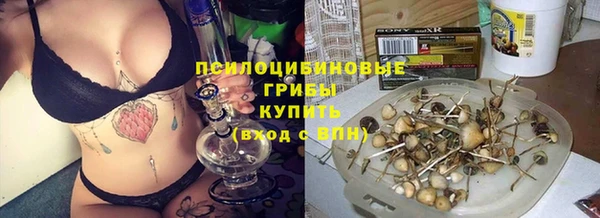 СК Козловка