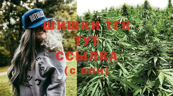 PSILOCYBIN Козельск