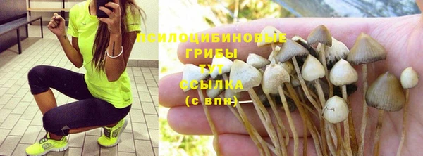 СК Козловка