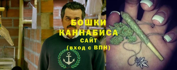 PSILOCYBIN Козельск